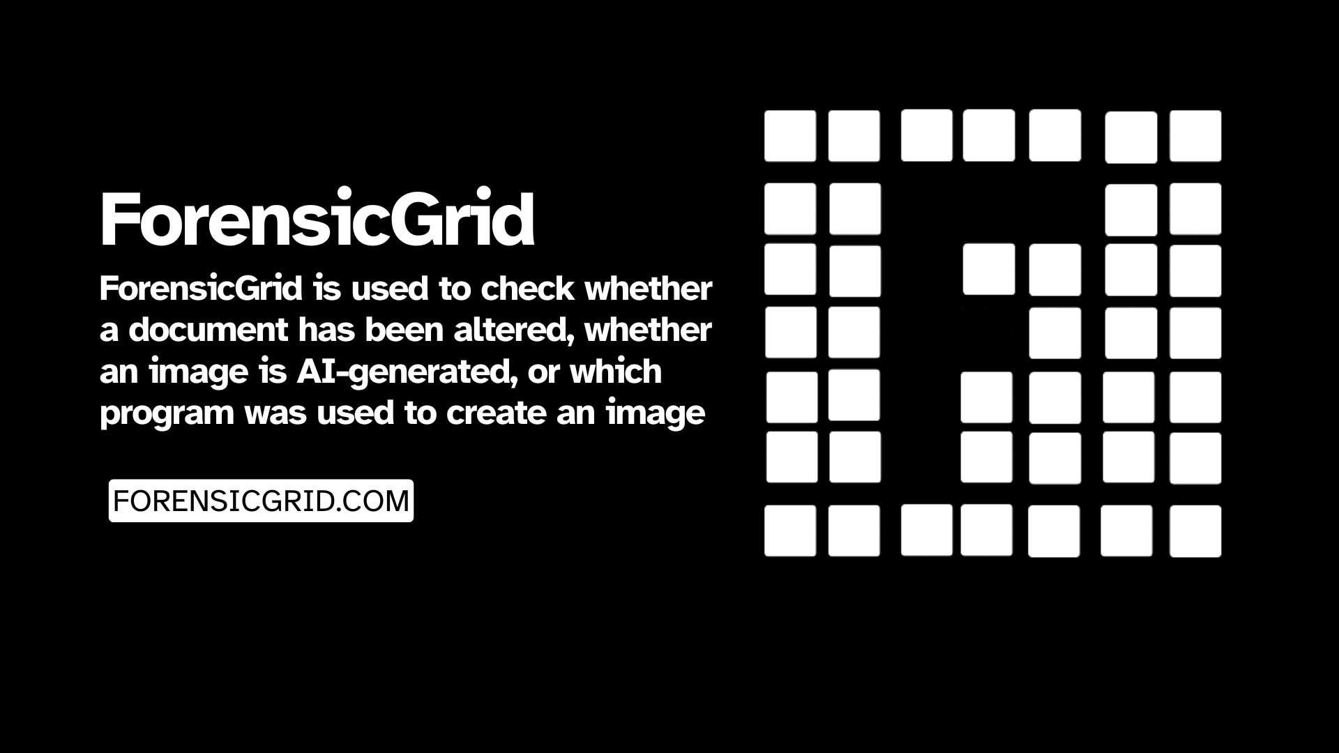 ForensicGrid for Document Analysis